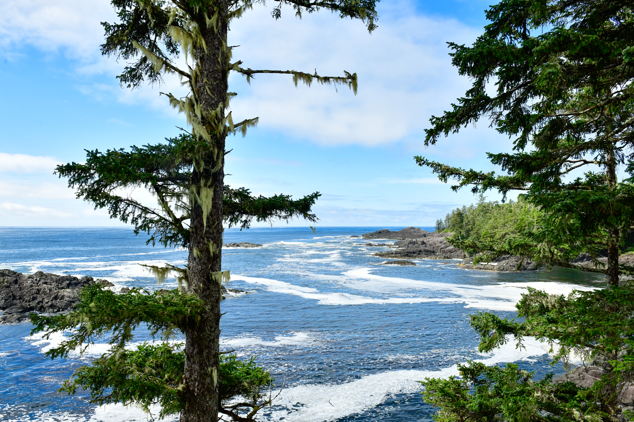 From Kelowna to Tofino